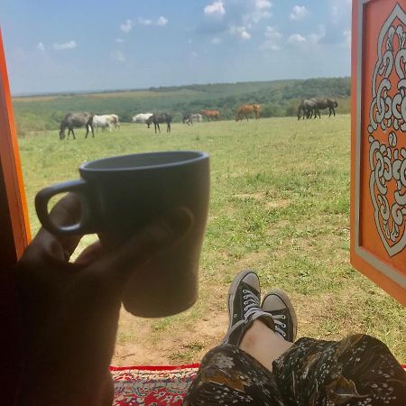Dharma Horse Shelter Bungalows & Farmping Siofok Dış mekan fotoğraf