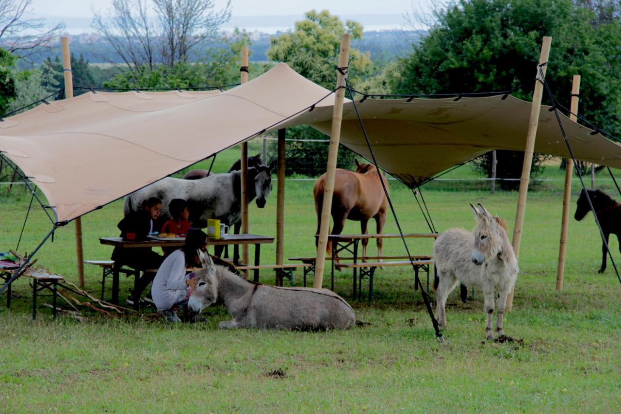 Dharma Horse Shelter Bungalows & Farmping Siofok Dış mekan fotoğraf
