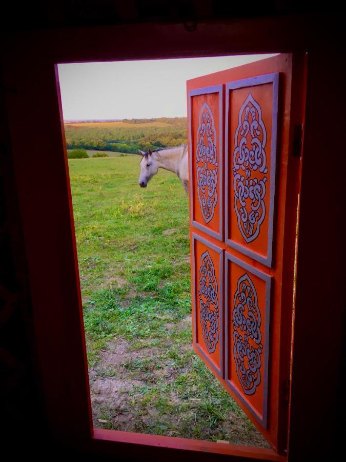 Dharma Horse Shelter Bungalows & Farmping Siofok Dış mekan fotoğraf
